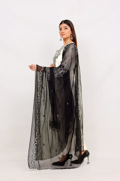 FF3075 – 3PC Stitched Embroidered Lawn Suit