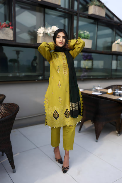 BRANDSINN-3PC KHADDAR CUTWORK EMBROIDERED SHIRT WITH KASHMIRI JACQUARD WOOL SHAWL-BIC-1551