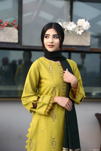 BRANDSINN-3PC KHADDAR CUTWORK EMBROIDERED SHIRT WITH KASHMIRI JACQUARD WOOL SHAWL-BIC-1551