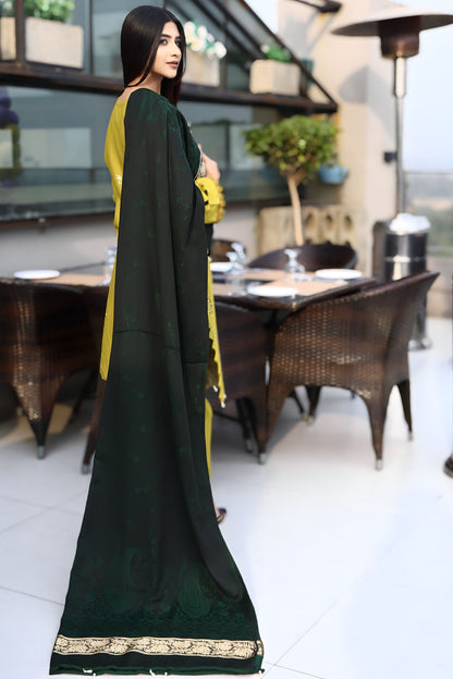 BRANDSINN-3PC KHADDAR CUTWORK EMBROIDERED SHIRT WITH KASHMIRI JACQUARD WOOL SHAWL-BIC-1551