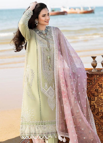SR-CH10 Embroidered ChickenKari Lawn Suit With Printed Organza Dupatta